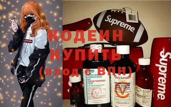 крисы Абаза