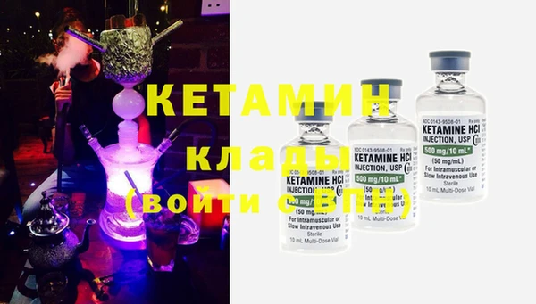 крисы Абаза